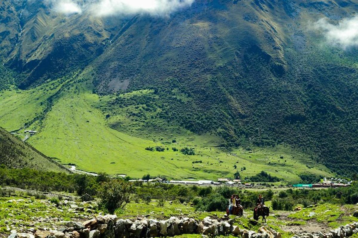 un gruppo di animali che camminano su un campo con una montagna