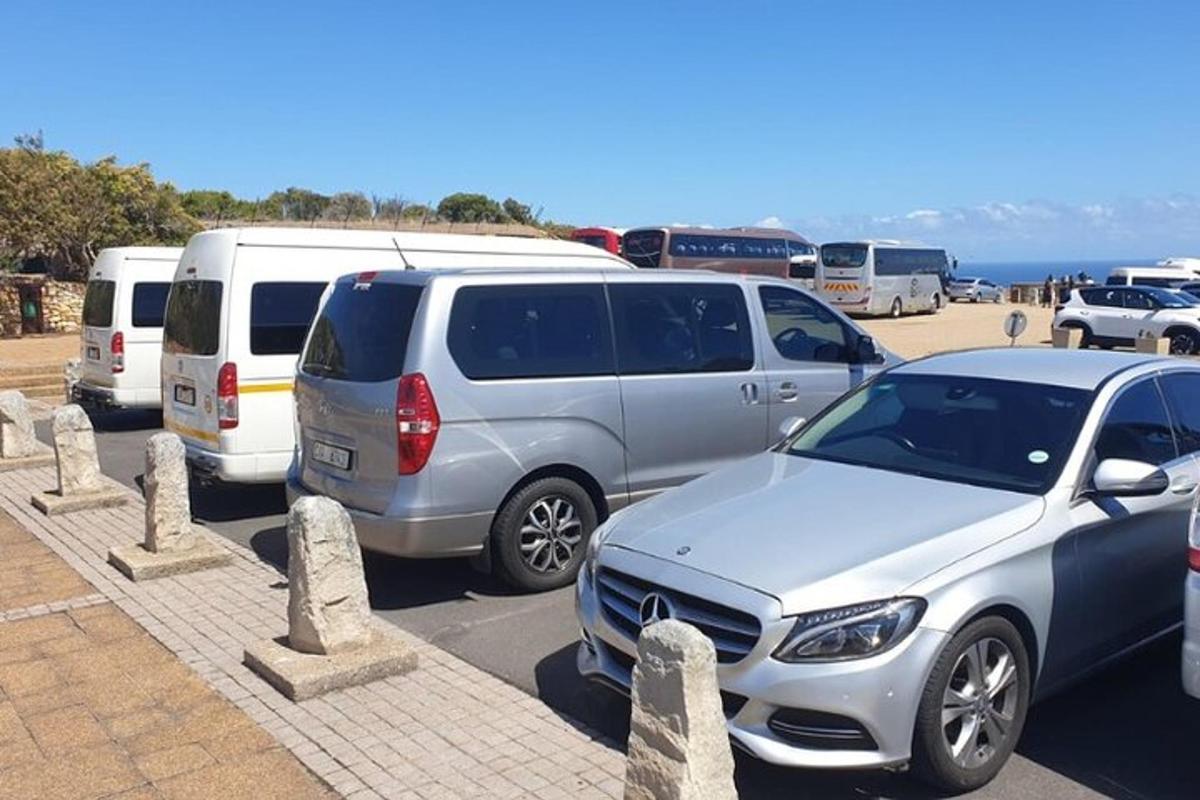 bir otoparkta park edilmiş bir grup araba