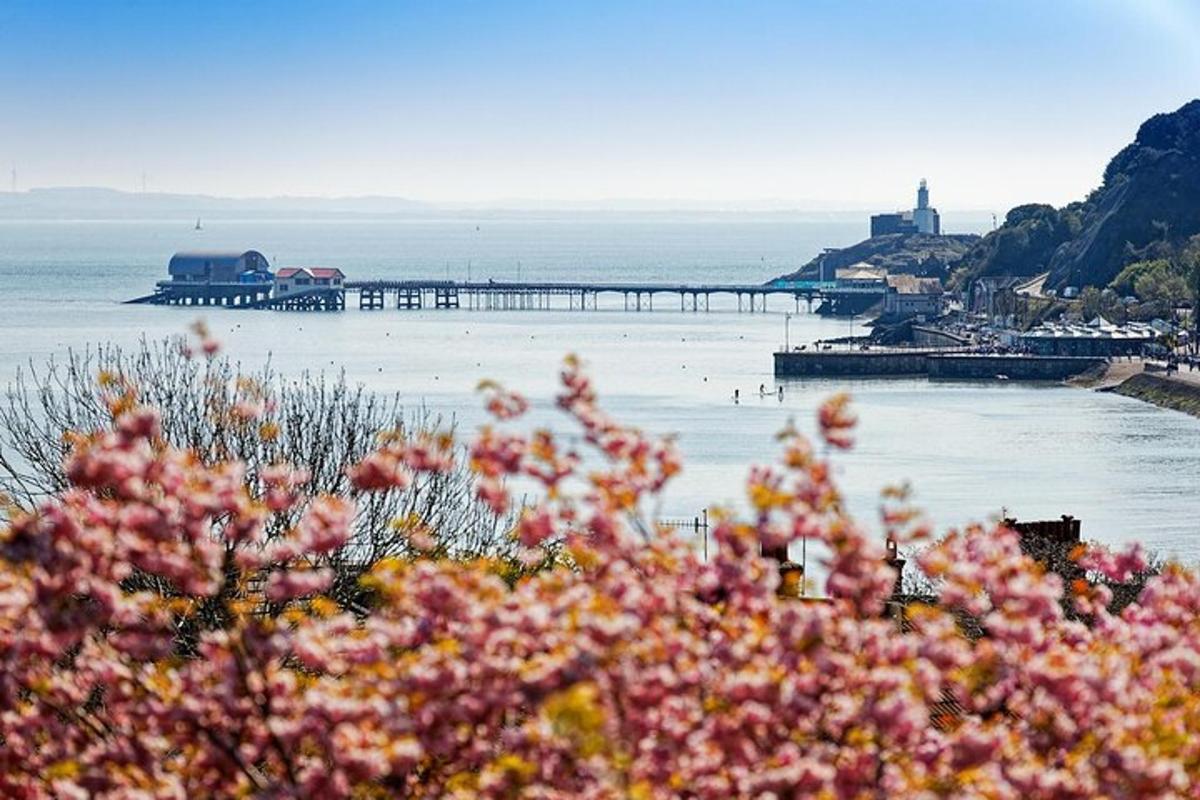 a view of a body of water with a pier
