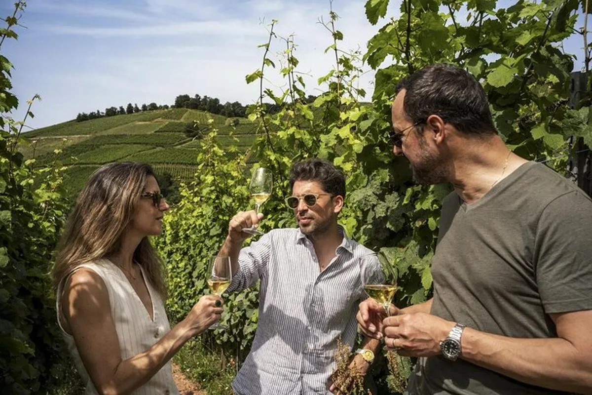 Colmar : visite privée des vins d'Alsace avec guide, 8 h 30 – photo 1