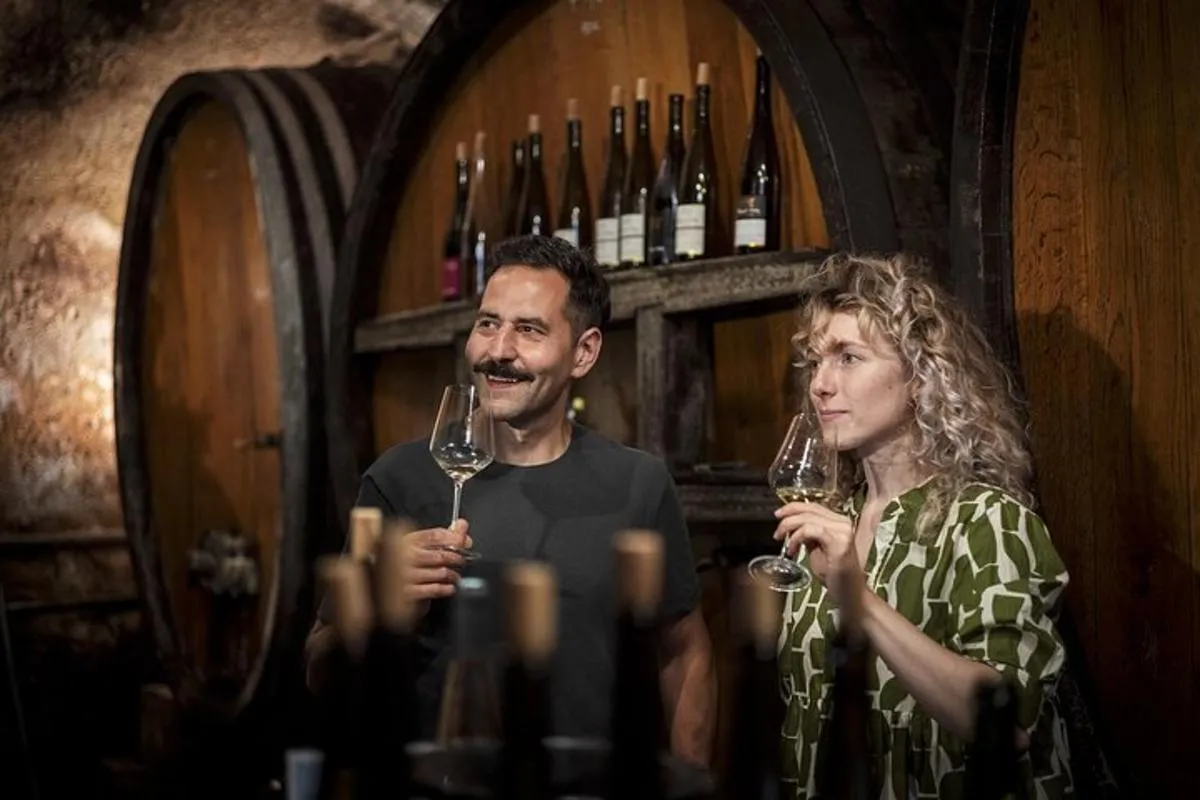 Visite privée des vins d'Alsace au départ de Colmar, Bâle ou Mulhouse – photo 2