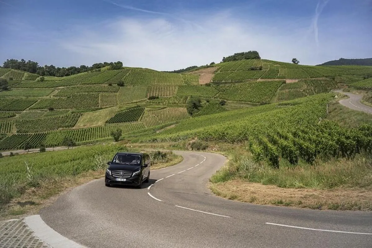 Colmar : visite privée des vins d'Alsace avec guide, 8 h 30 – photo 3
