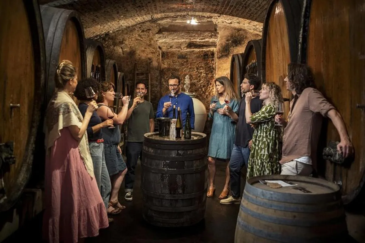Visite privée des vins d'Alsace au départ de Colmar, Bâle ou Mulhouse – photo 4