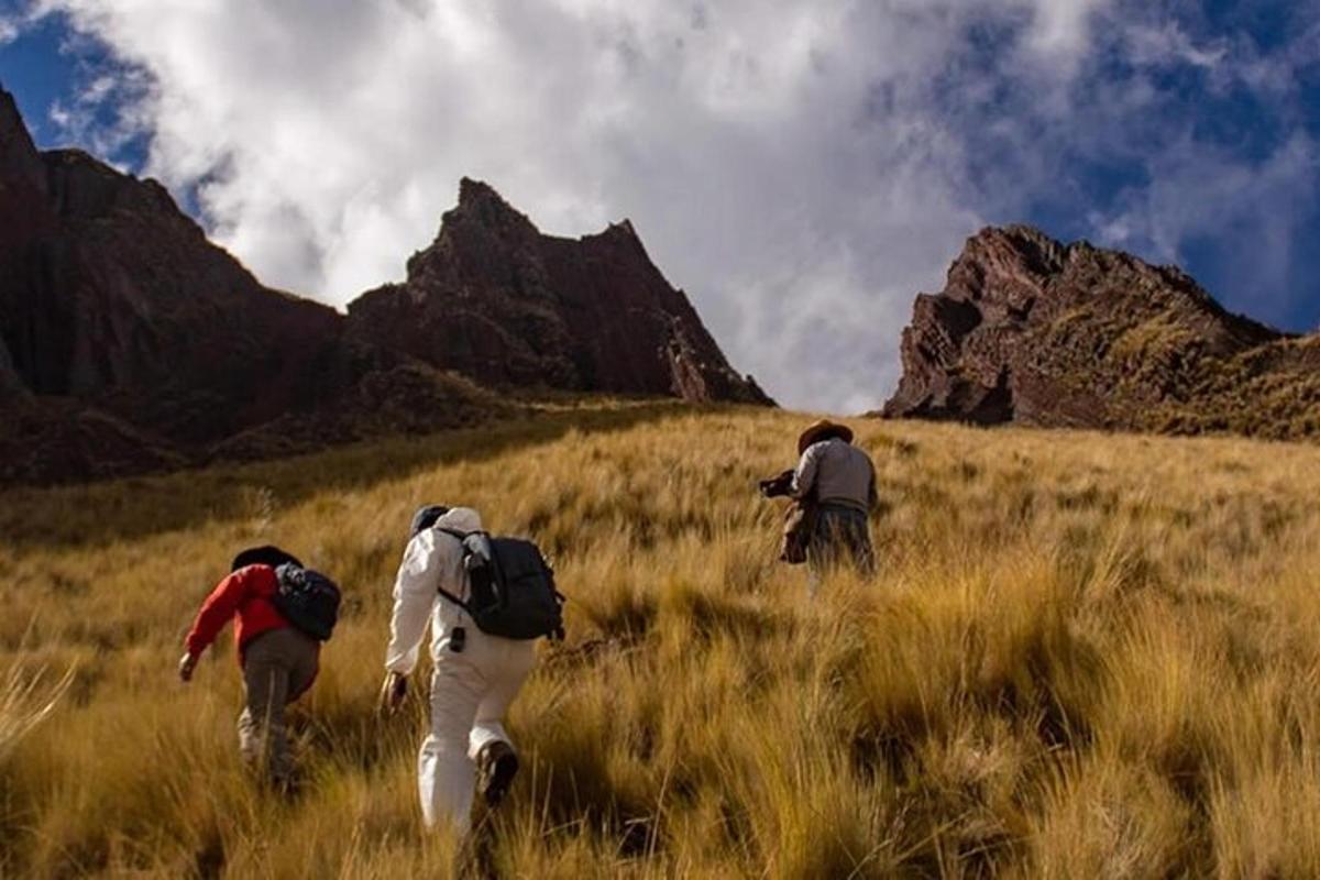 três pessoas caminhando por um campo de grama alta