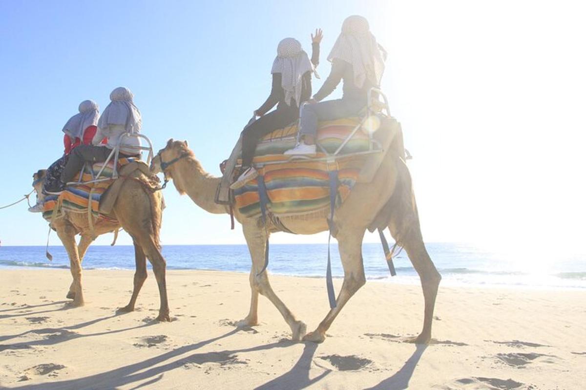 a group of people riding on the backs of camels on the beach