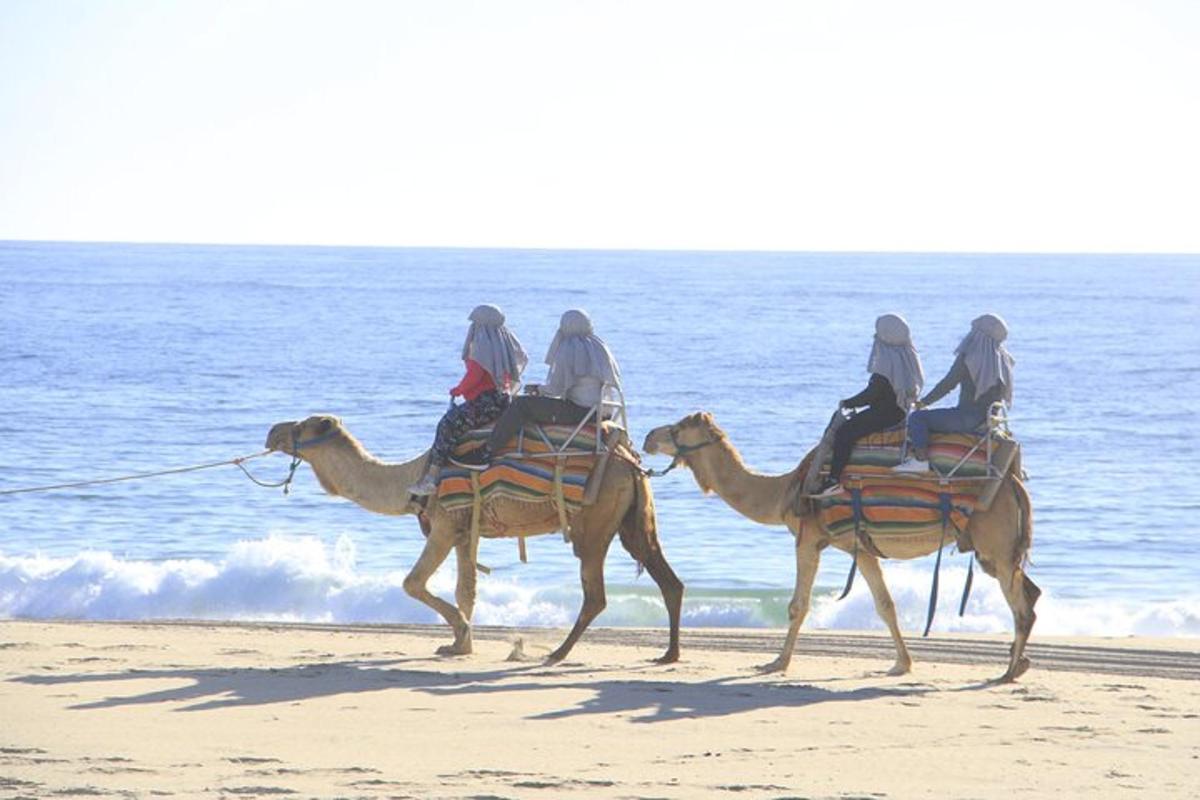 a group of people riding camels on the beach