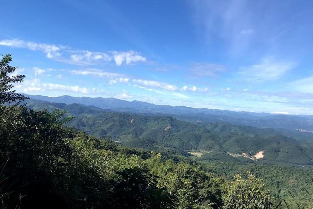 a view of auliculiculiculiculiculiculiculiculiculiculiculic