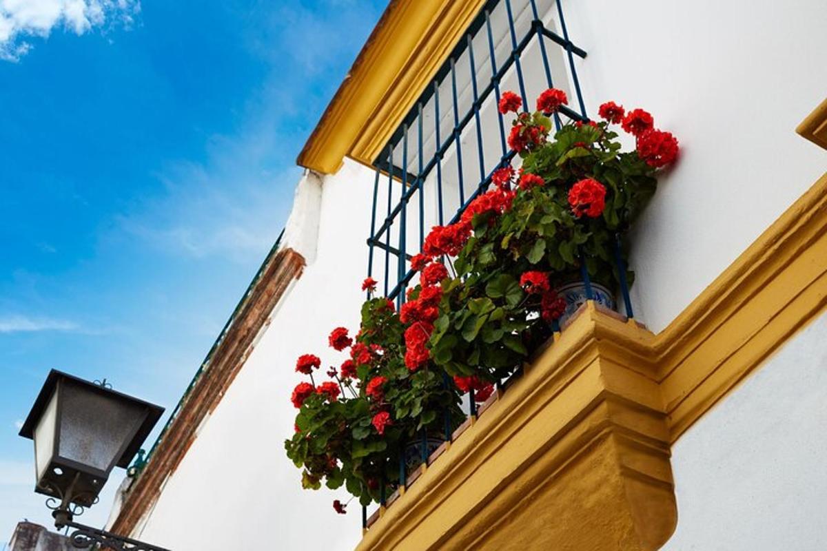 a window with red flowers on the side of a building