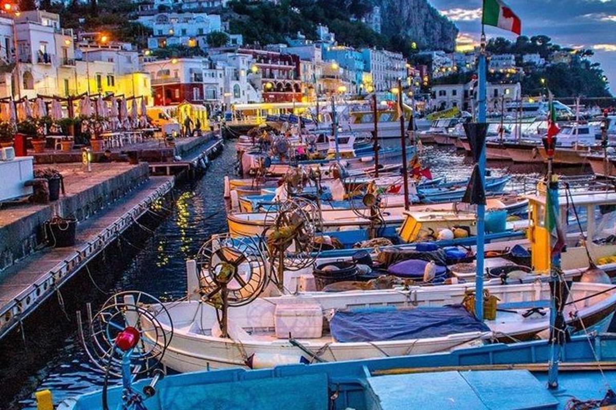 o grămadă de bărci sunt acostate într-un port
