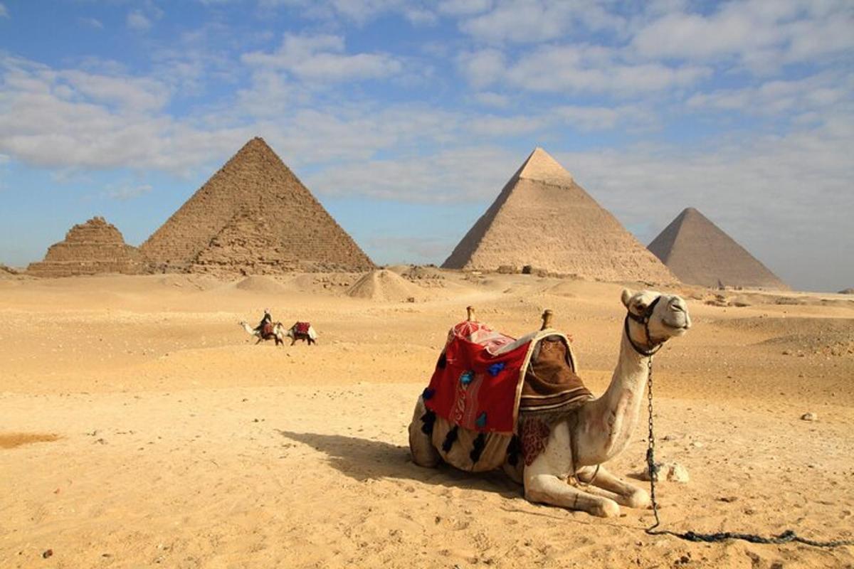 velbloud sedící v poušti s pyramidami v pozadí