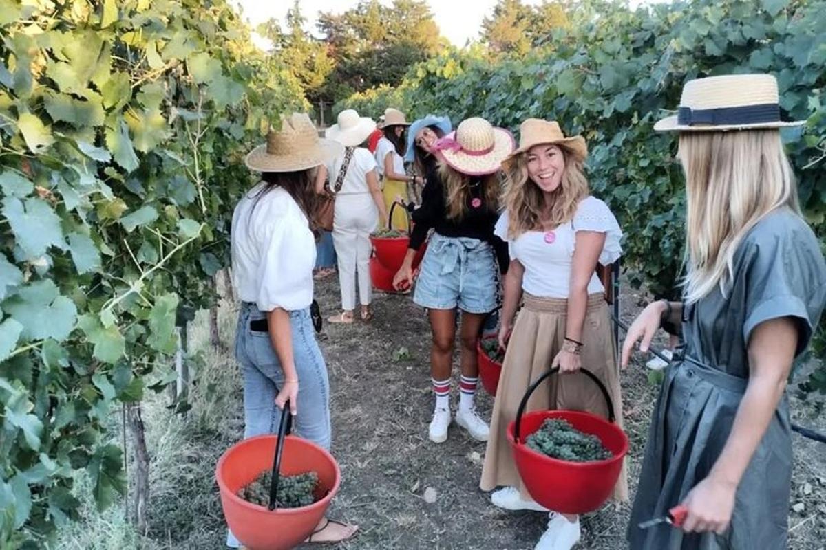 a group of women standing in a vineyard