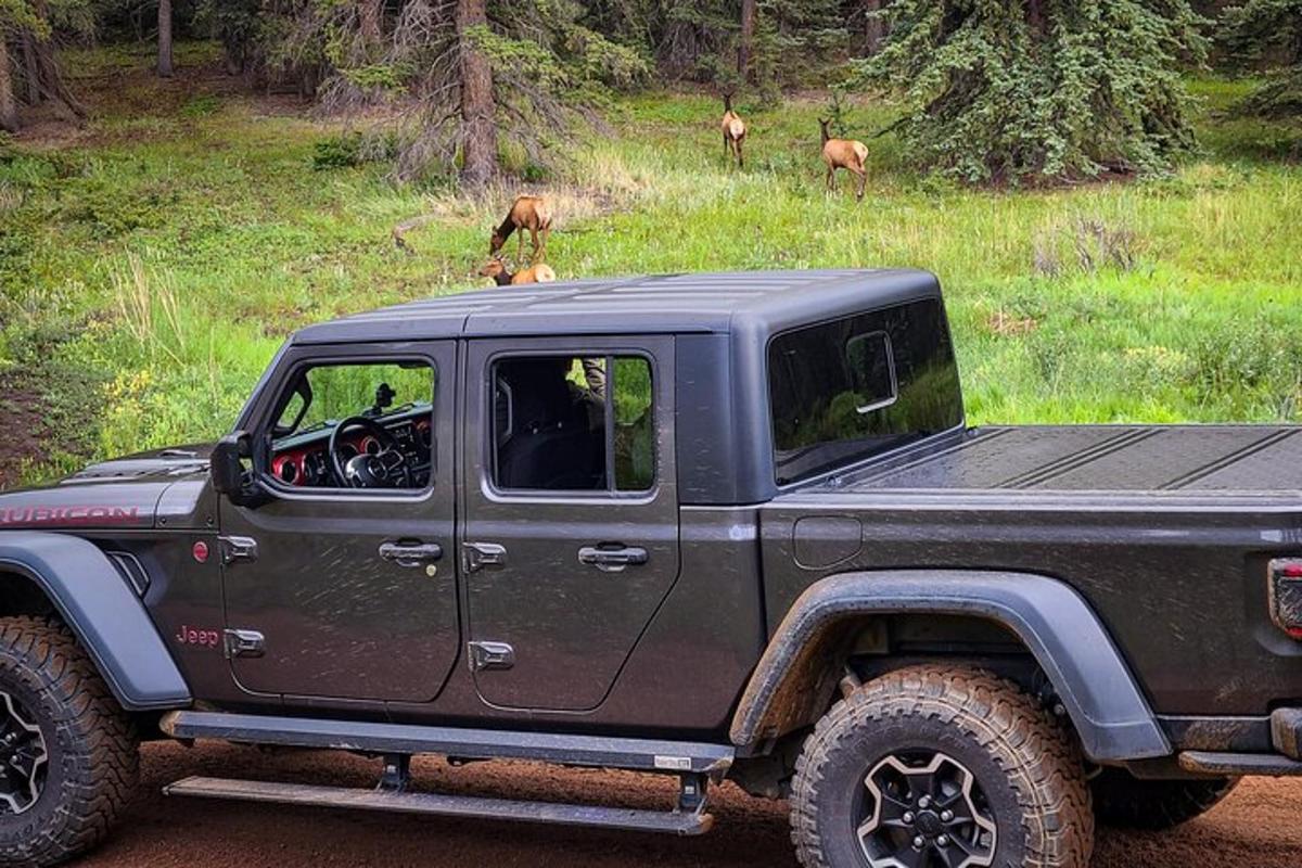 a green jeep parked on a dirt road with animals in the background