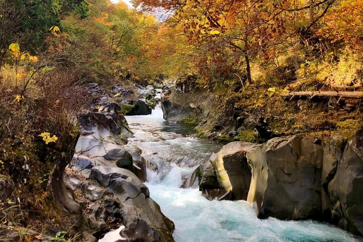 a stream of water with rocks and trees