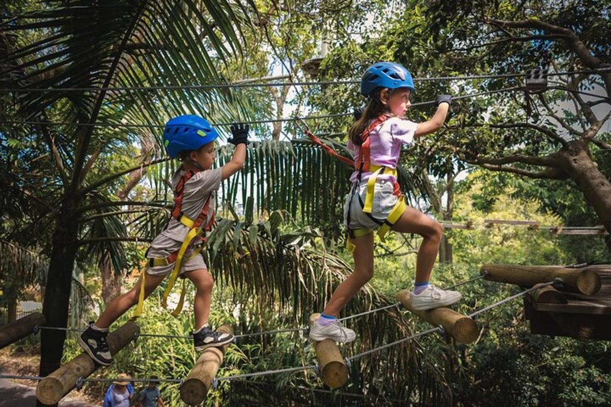 two young children wearing helmets on a zip line