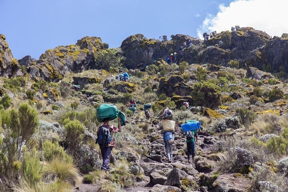 un gruppo di persone che camminano su un sentiero di montagna