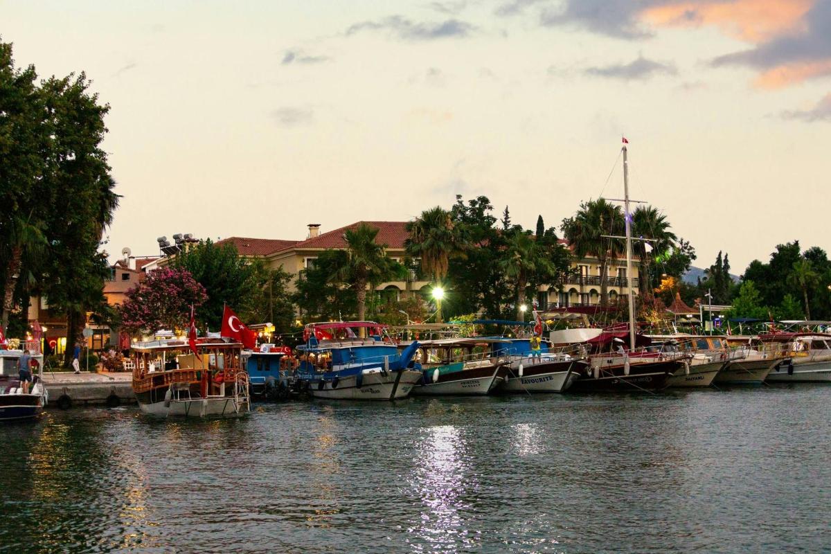 a group of boats are docked in a harbor