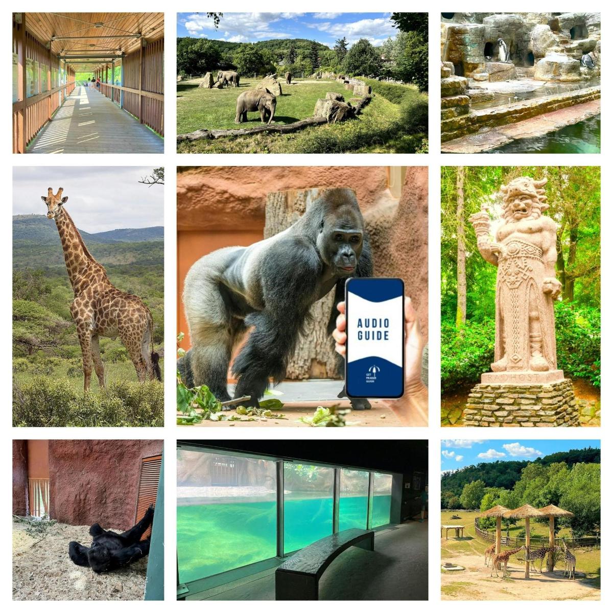 un collage di immagini di animali e monumenti