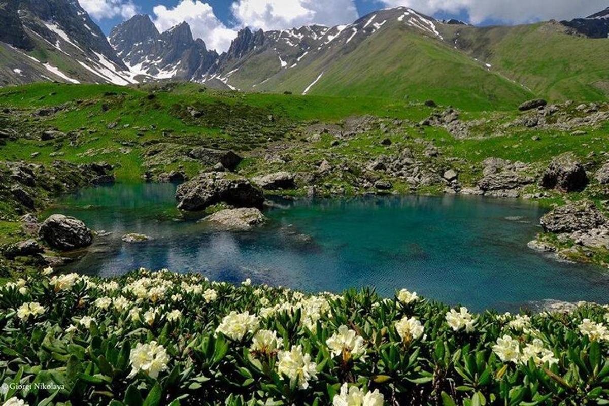 um lago em uma montanha com flores em primeiro plano