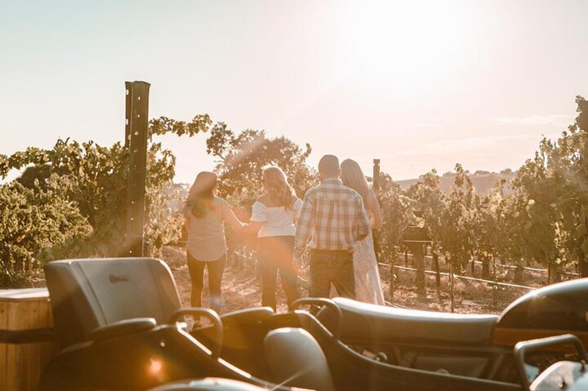 a group of people walking through a vineyard
