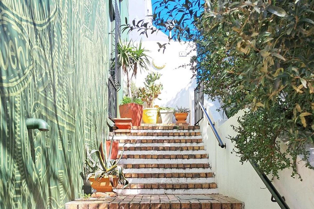 Un conjunto de escaleras con plantas en macetas.