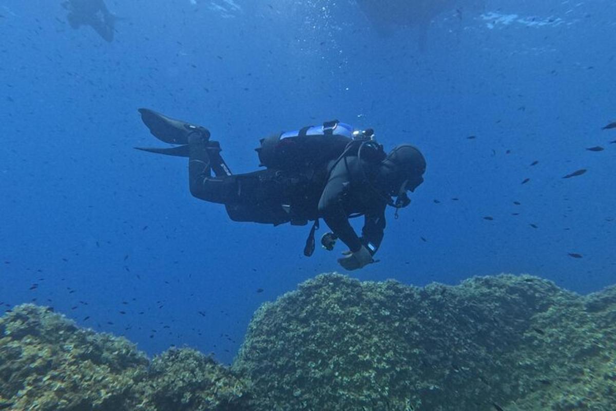 un uomo sta nuotando su una barriera corallina