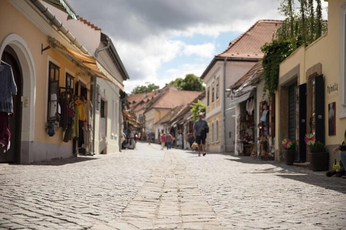 o stradă pietruită într-un oraș cu o persoană care plimbă un câine