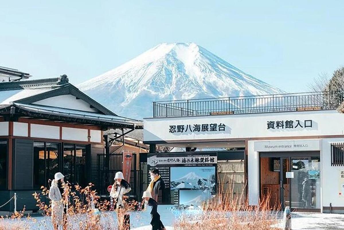 Una montaña cubierta de nieve al fondo de un edificio.