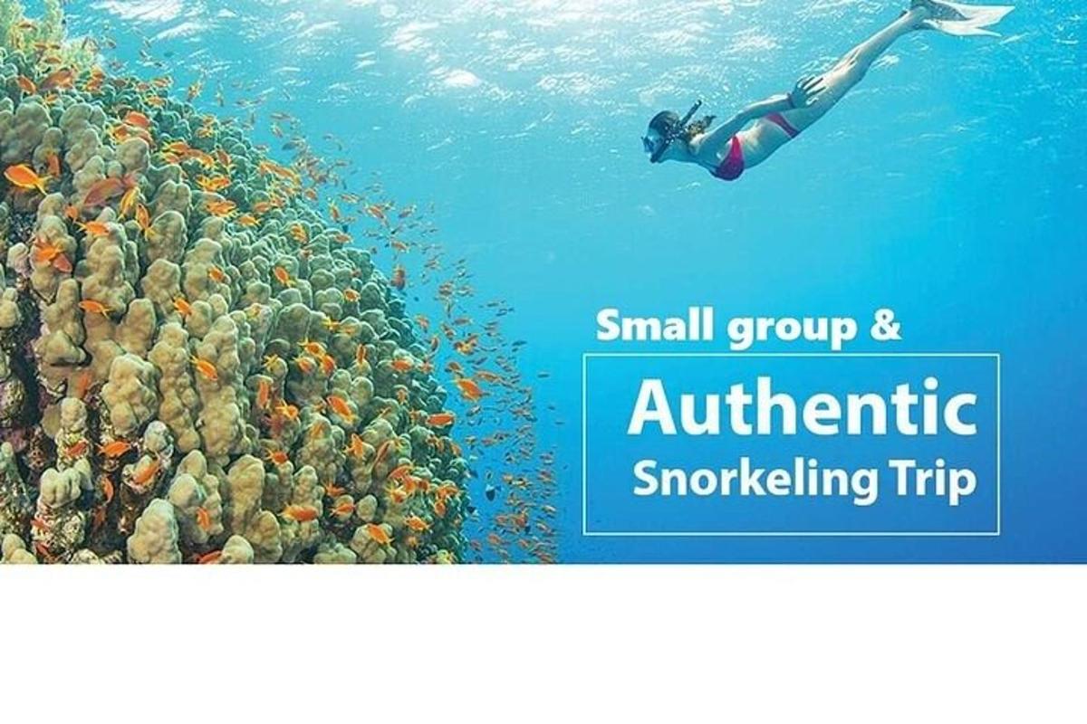a person swimming in the ocean next to a coral reef