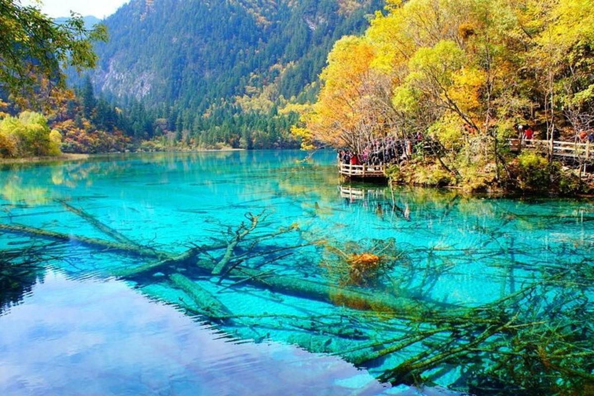 a blue lake with a tree in the water