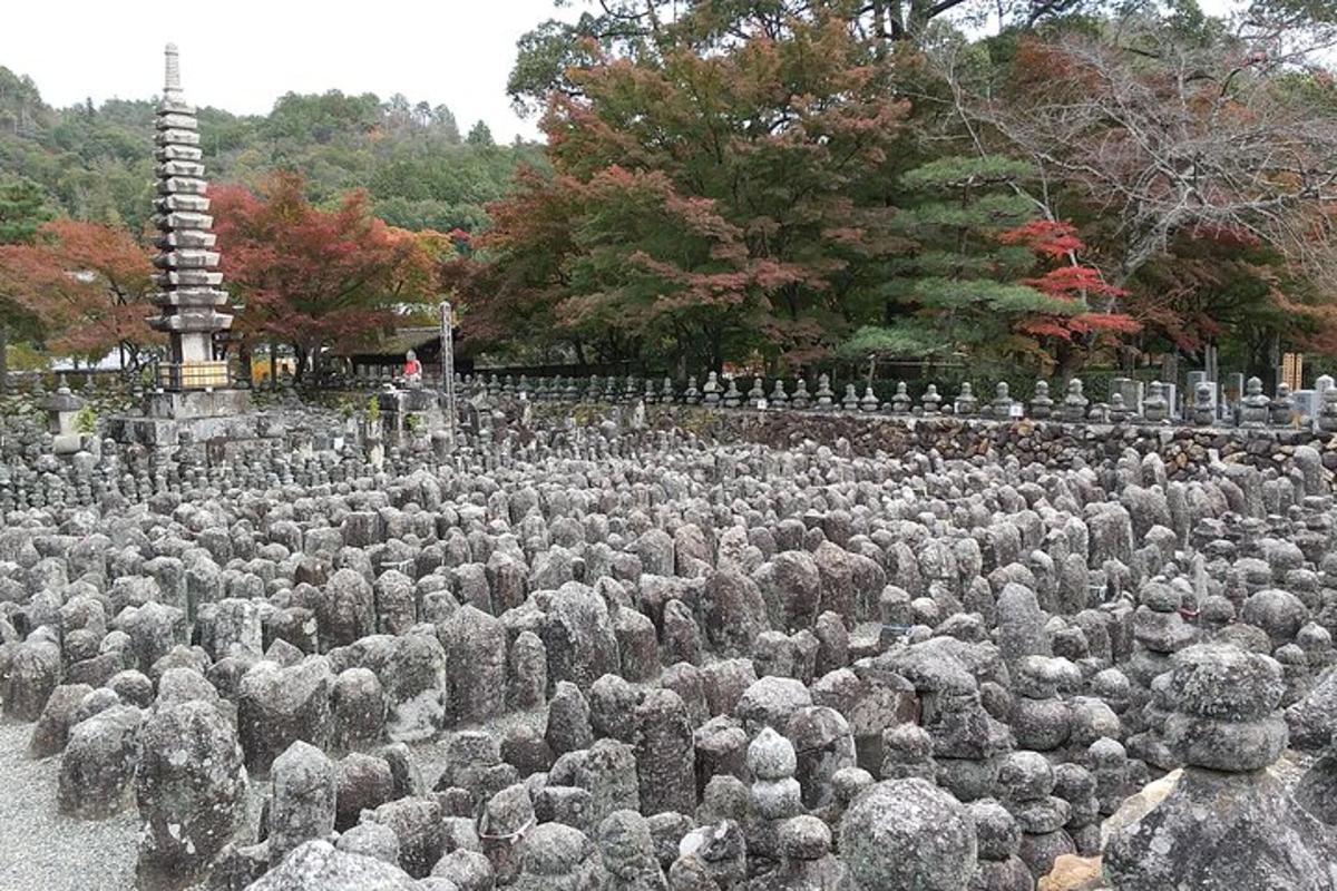 un giardino di cimitero con molto