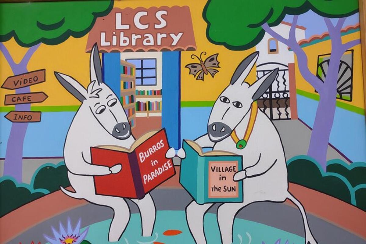 duas lhamas lendo livros em frente a uma biblioteca
