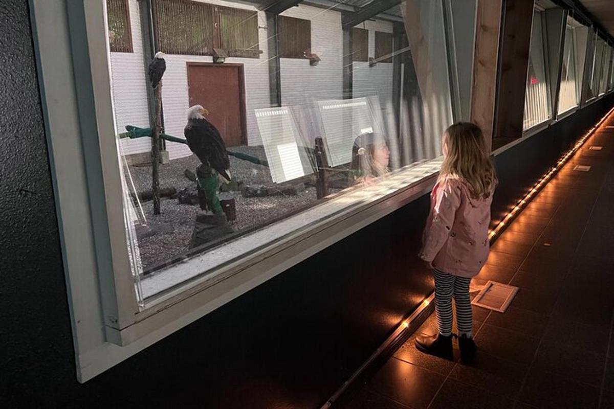 a little girl looking out of a window at a bird