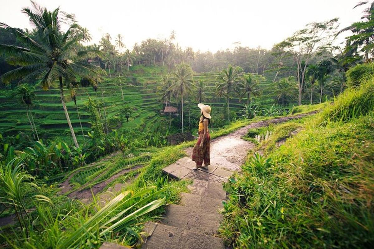 isang taong nakatayo sa isang landas sa isang bukid