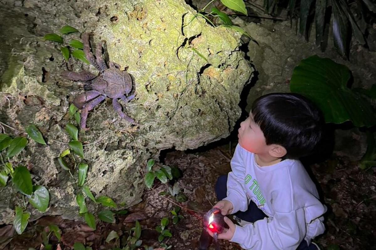 a little boy sitting next to a toy lizard