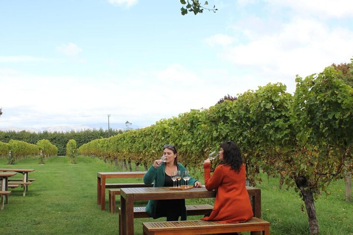 two women sitting at a picnic table with wine glasses