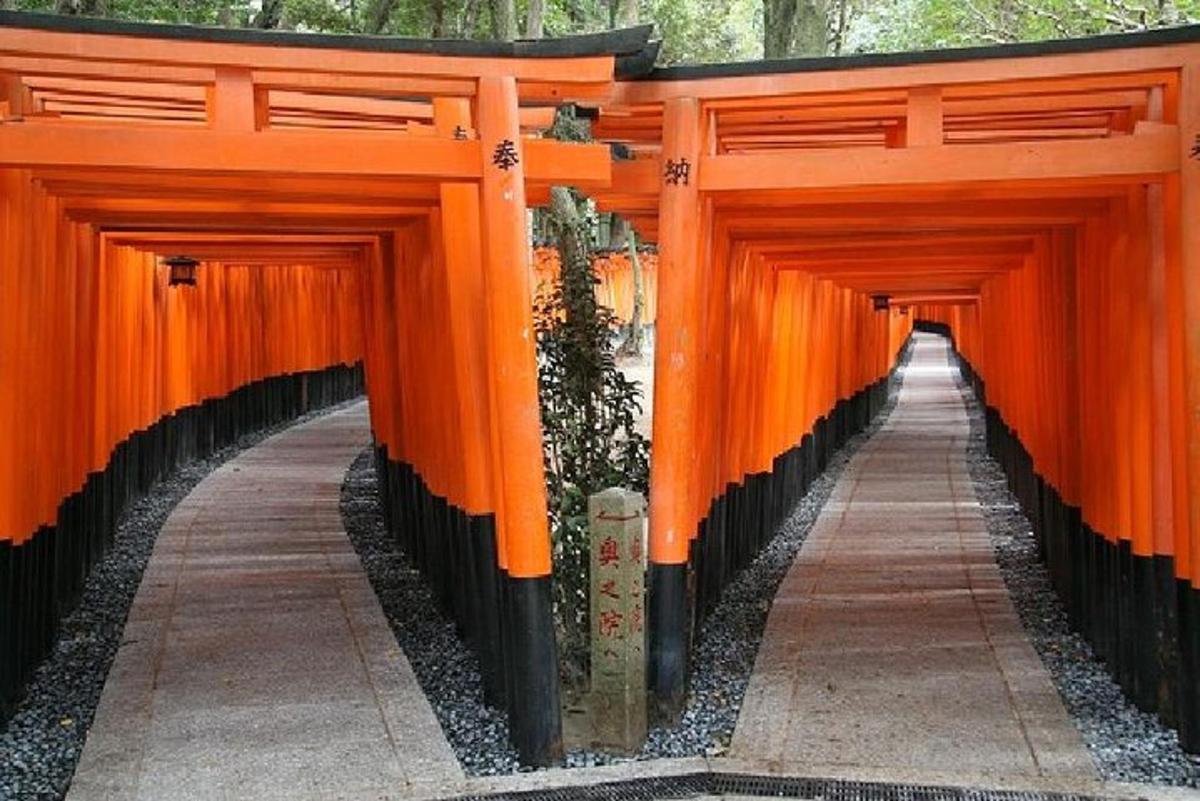 egy szentély bejárata narancssárga torii kapukkal