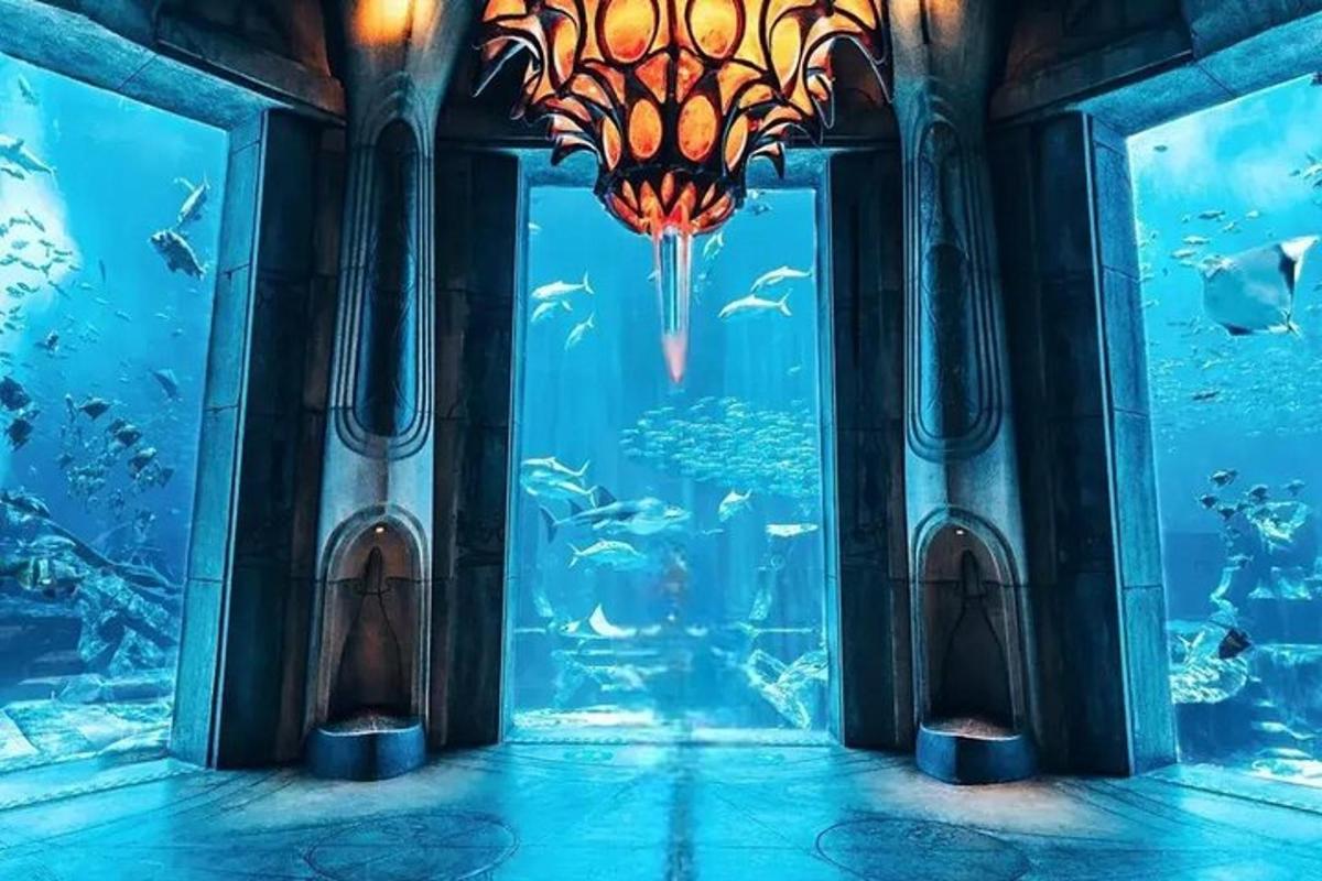 a room with an aquarium with a chandelier