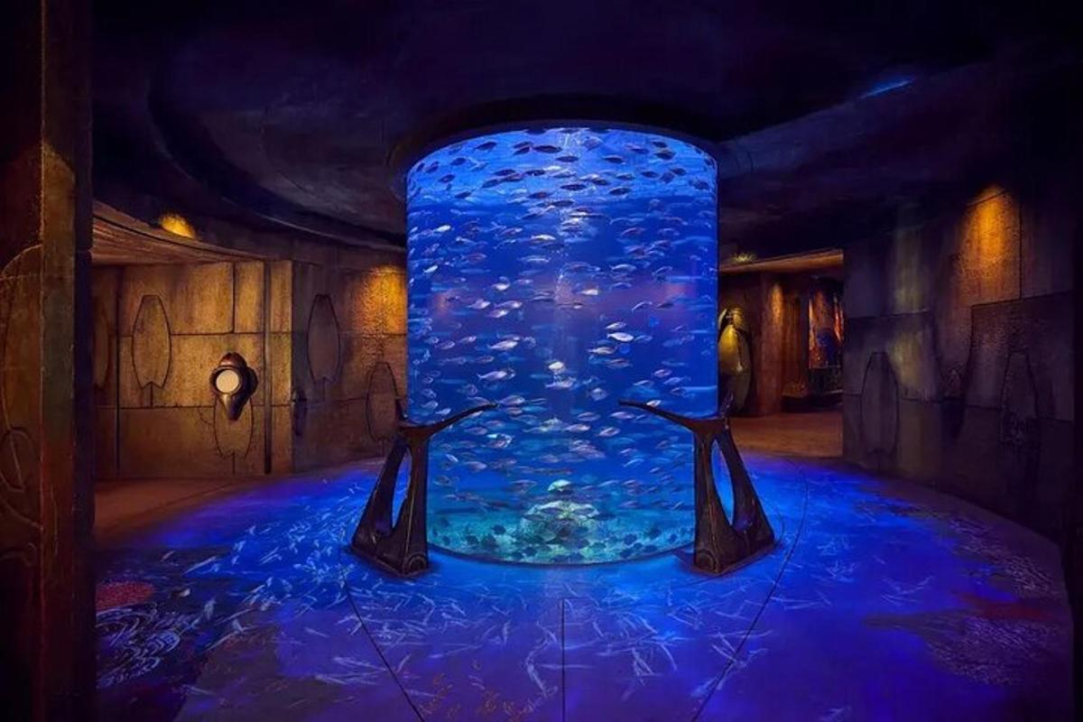 a room with a large blue aquarium in a room