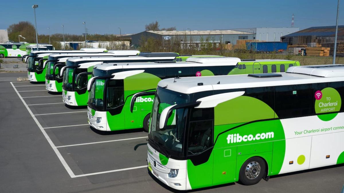 a row of green buses parked in a parking lot
