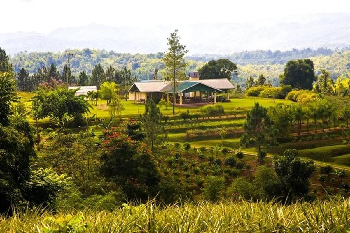 un giardino con una casa in mezzo a un campo