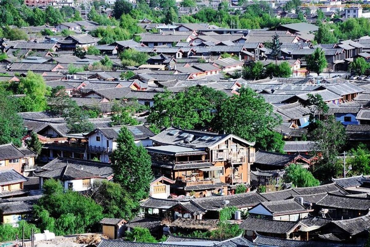 una vista dall'alto di un villaggio con case e alberi