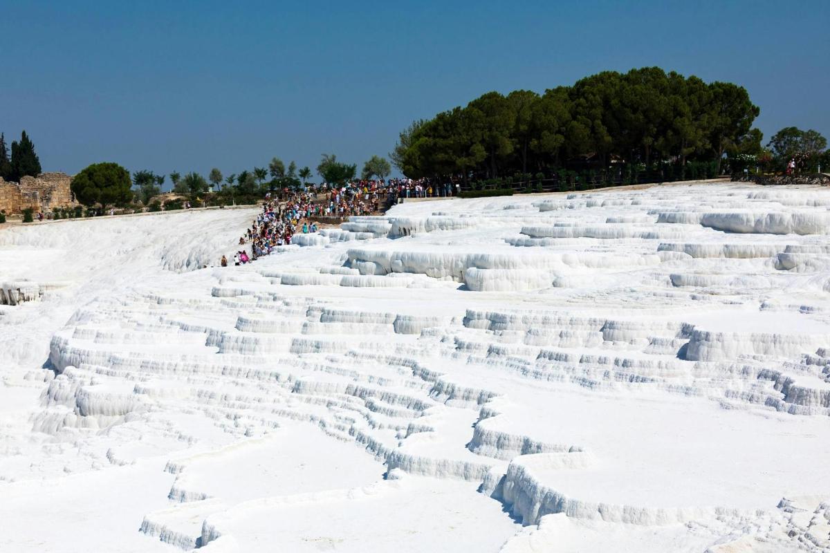 um grande grupo de pessoas em uma colina coberta de neve
