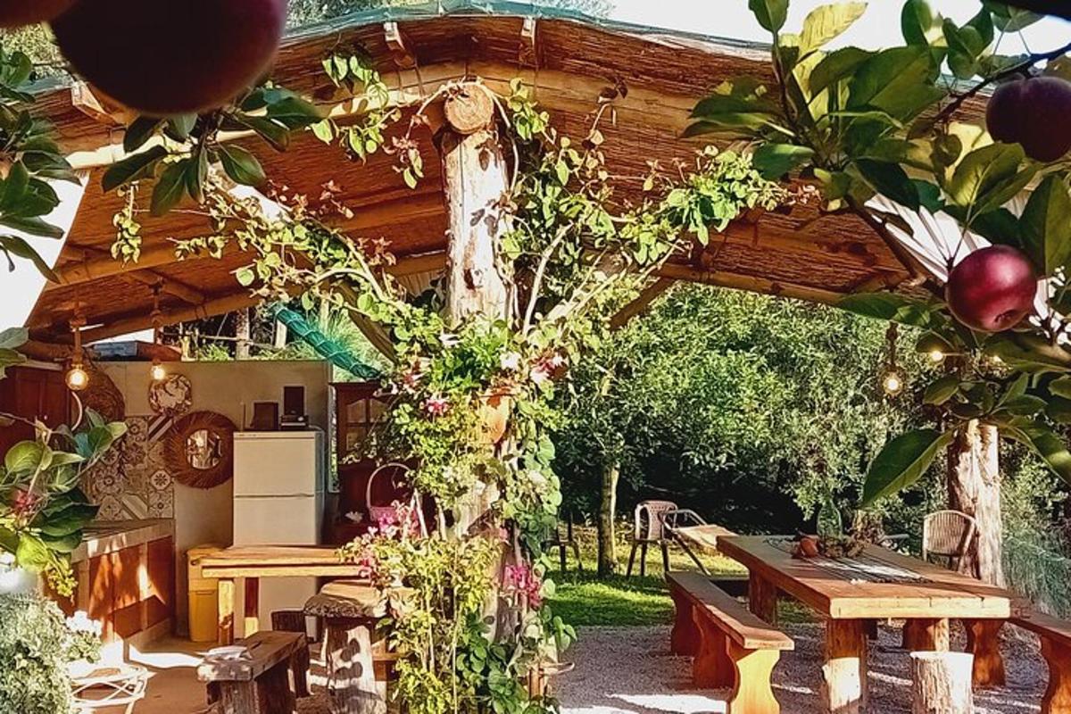 puidust pergola puidust laua ja piknikulauaga