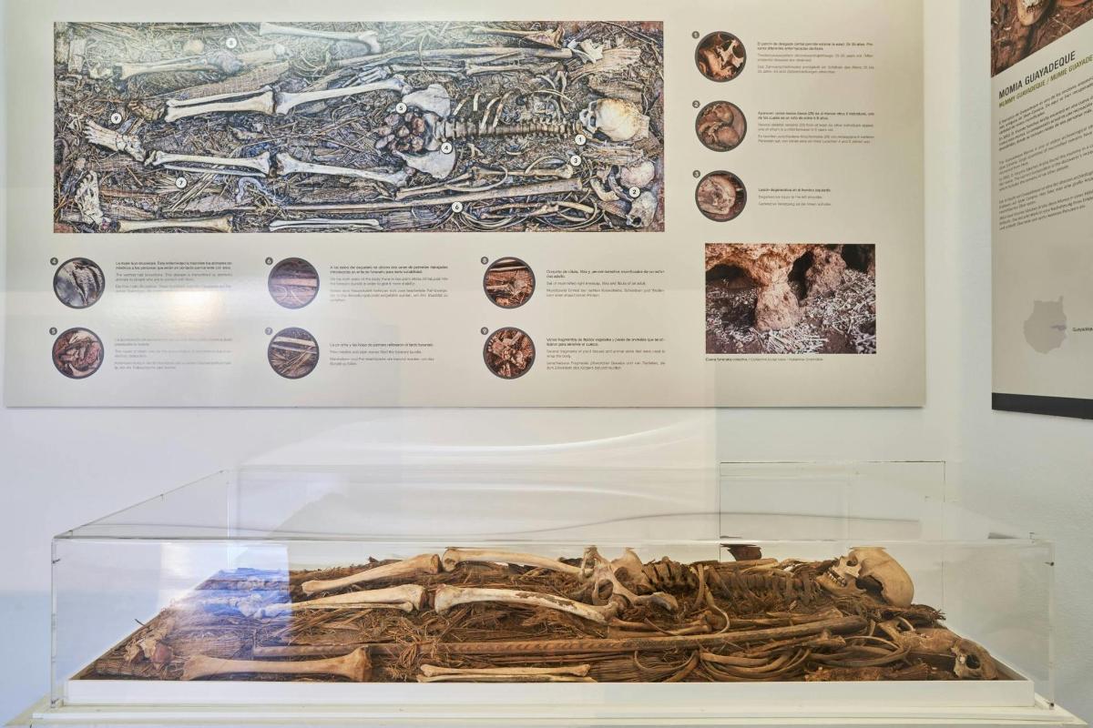 expozice ve skleněné vitríně v muzeu