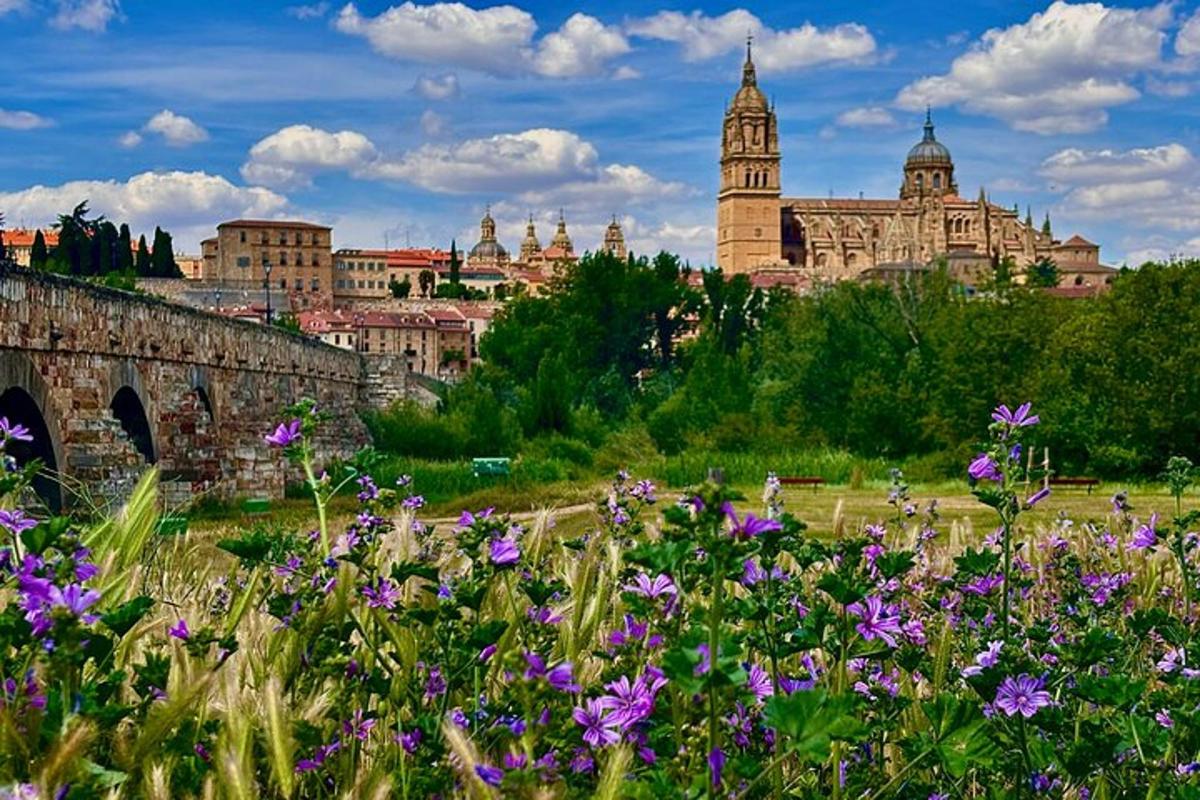Una vista de una ciudad con un ramo de flores.