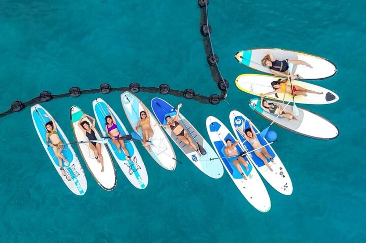 Un grupo de personas en tablas de surf en el agua.