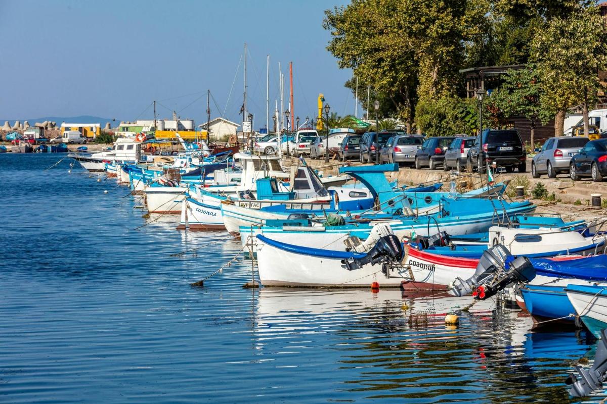 a bunch of boats are docked in the water