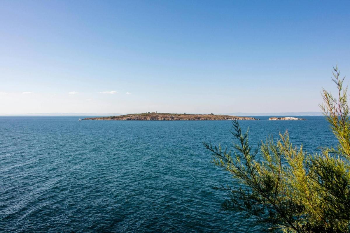 an island in the middle of a large body of water