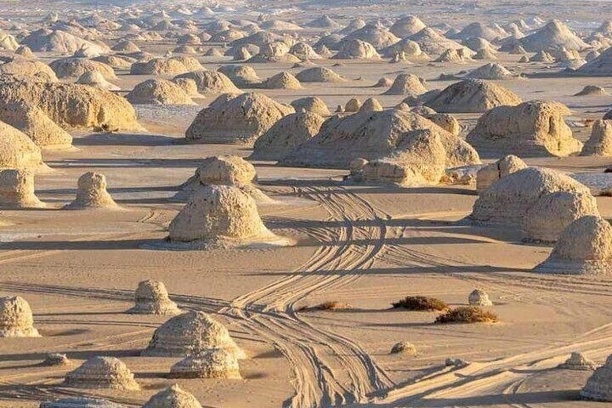 un deserto con diverse tracce nella sabbia