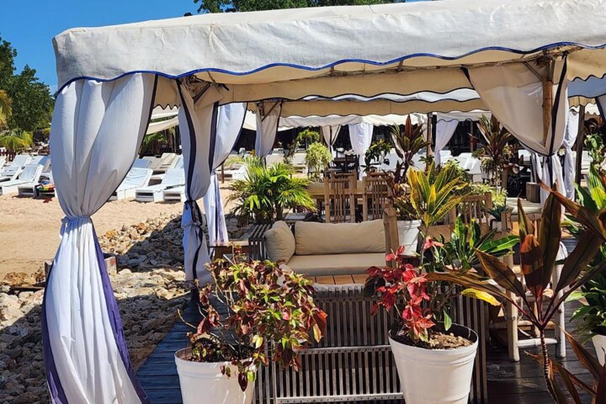 a gazebo with potted plants on a beach